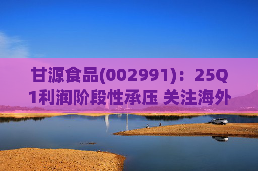 甘源食品(002991)：25Q1利润阶段性承压 关注海外市场突破
