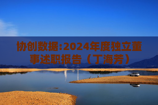 协创数据:2024年度独立董事述职报告（丁海芳）