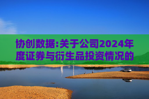 协创数据:关于公司2024年度证券与衍生品投资情况的专项报告