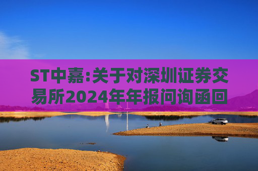 ST中嘉:关于对深圳证券交易所2024年年报问询函回复的公告