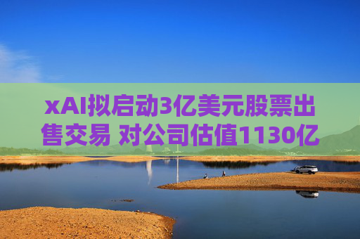 xAI拟启动3亿美元股票出售交易 对公司估值1130亿美元