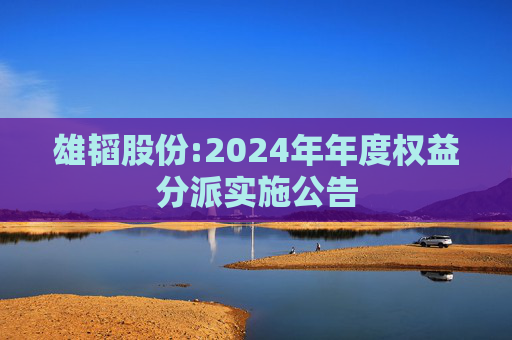雄韬股份:2024年年度权益分派实施公告