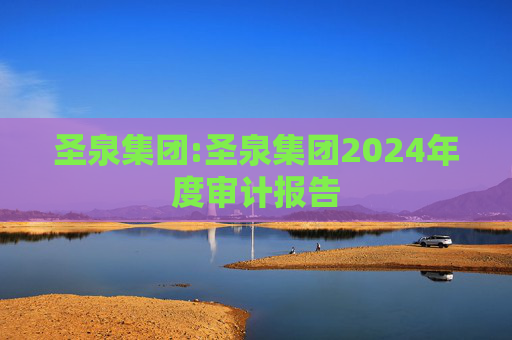 圣泉集团:圣泉集团2024年度审计报告