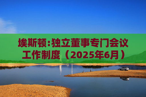 埃斯顿:独立董事专门会议工作制度（2025年6月）