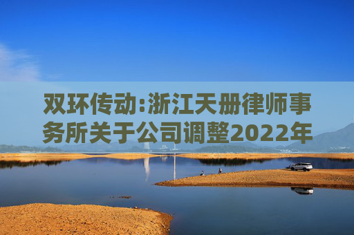 双环传动:浙江天册律师事务所关于公司调整2022年股票期权激励计划行权价格的法律意见书