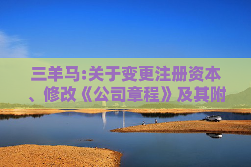 三羊马:关于变更注册资本、修改《公司章程》及其附件并办理工商变更登记的公告  第1张