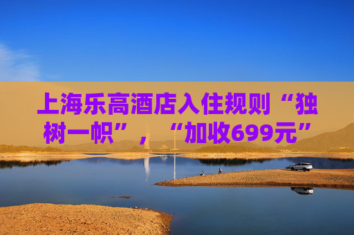 上海乐高酒店入住规则“独树一帜”，“加收699元”引质疑