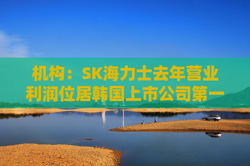 机构：SK海力士去年营业利润位居韩国上市公司第一，首次超过三星电子