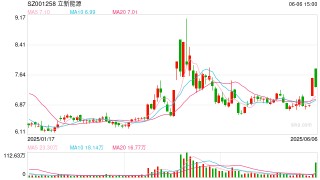 立新能源5次修改定增预案有息负债逼近百亿 上市次年业绩变脸坏账减值加速攀升
