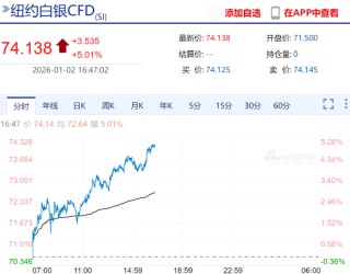 快讯：纽约期银日内大涨5%