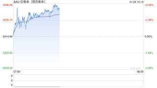 薛佳凝自曝2013年起每年攒金，首购两公斤金价三百多元