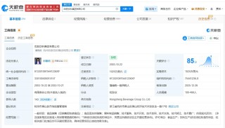 宗馥莉再度接任宏胜集团法定代表人