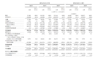 详解智谱招股书，“大模型第一股”成色几何？