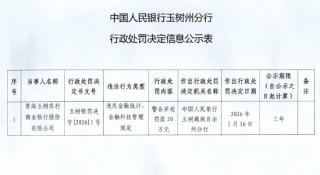 青海玉树农商行被罚20万元：违反金融统计、金融科技管理规定