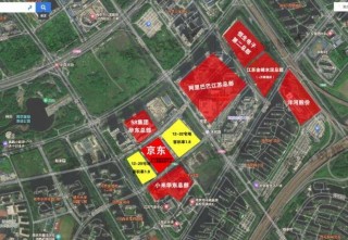 1.84亿元拿下科研地块 京东研发中心正式入驻河西中央科创区