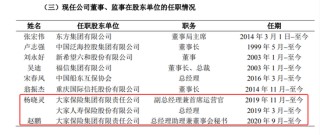 大家保险派驻民生银行董事领取“双份薪酬”