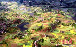 如何了解公积金补贴事宜并合理获取？获取过程中有哪些要点需关注？