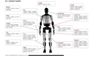 具身智能，踉跄起步