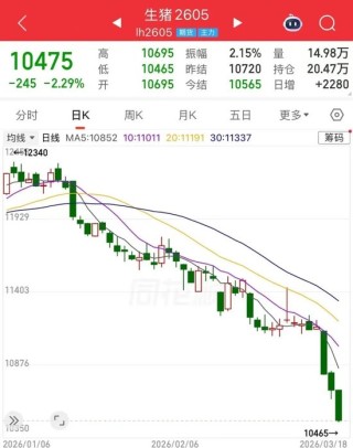 全行业亏损！猪价“跌跌不休”，底在何方？