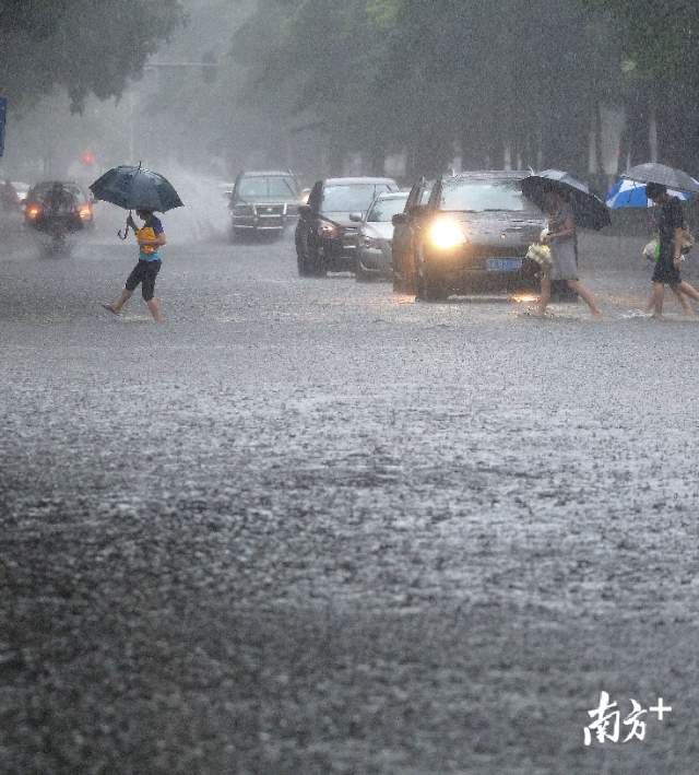 大众途观雨刮片的拆卸步骤是什么？如何选择适合的雨刮片？  第1张
