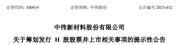 中伟股份，宣布赴香港上市，冲刺A+H  第2张