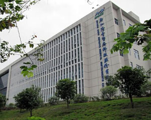 如何妥善处理医疗保险续费问题？这种续费方式有哪些注意事项？  第1张