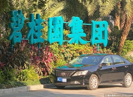 杨惠妍被罚、董事会力挺！碧桂园千亿债务危机解除了吗？  第6张