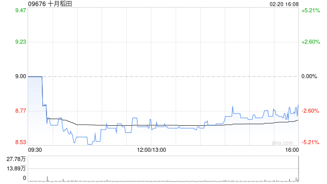 十月稻田于2月20日斥资316.62万港元回购36万股  第1张