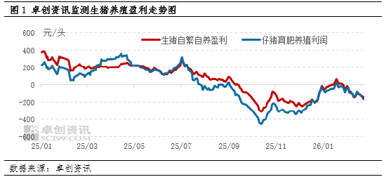 高瞻远“猪”：节后亏损再度加剧 生猪养殖何时走出困境？  第3张