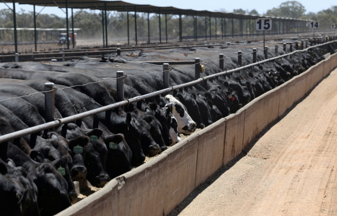 澳币AUDUSD背后惊现史诗级内讧！澳洲联储 5:4投票加息释放极端信号，通胀彻底失控？  第3张